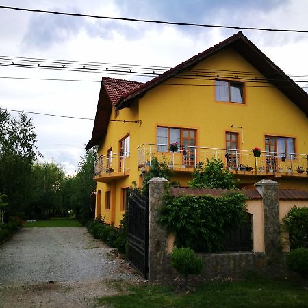 Pensiunea Ramona Cărpinişu Eksteriør bilde