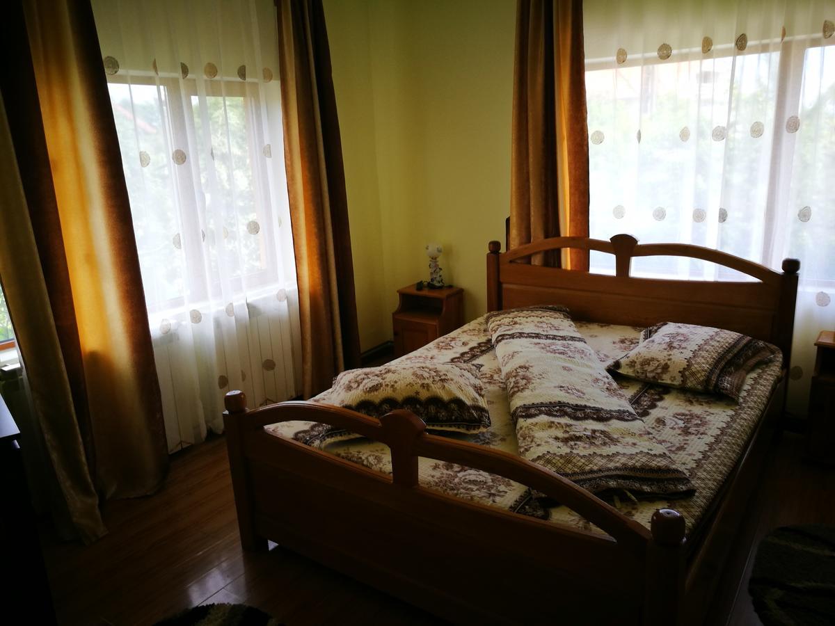 Pensiunea Ramona Cărpinişu Eksteriør bilde