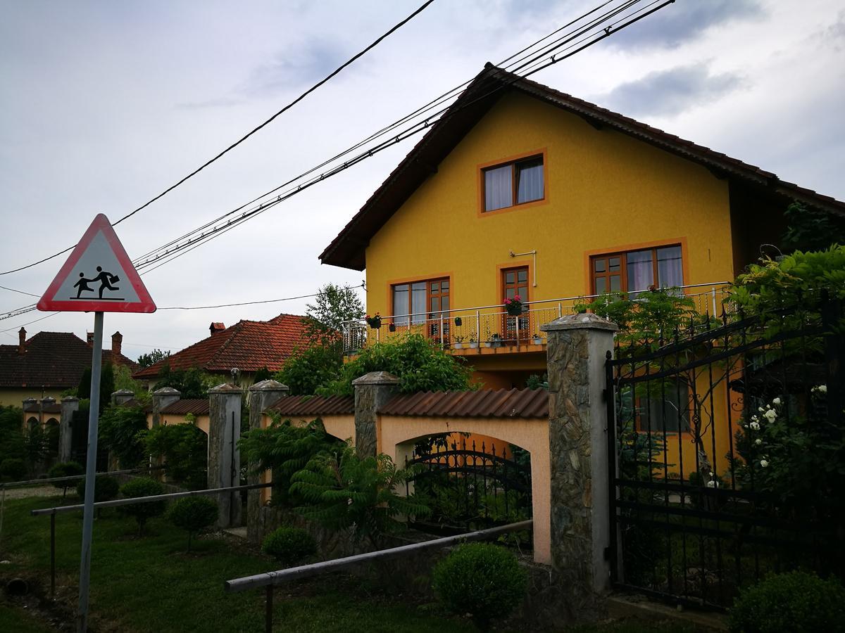 Pensiunea Ramona Cărpinişu Eksteriør bilde